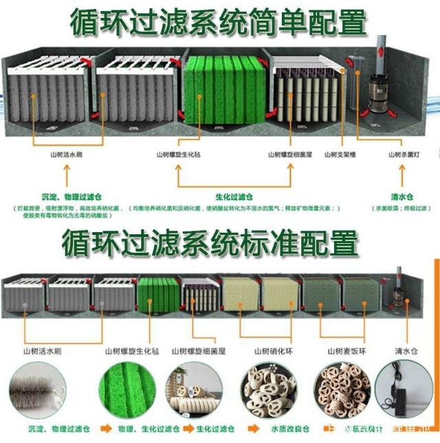 想要建造一个漂亮的锦鲤鱼池,千万不能忽视锦鲤鱼池过滤系统