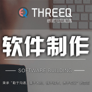 软件制作
